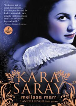 Kara Saray