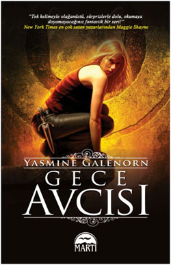 Gece Avcısı