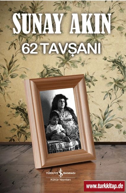 62 Tavşanı