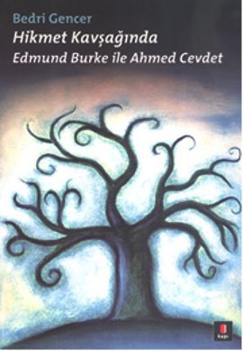 Hikmet Kavşağında <br /> Edmund Burke ile Ahmed Cevdet