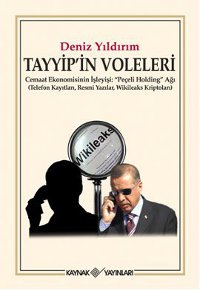 Tayyip'in Voleleri