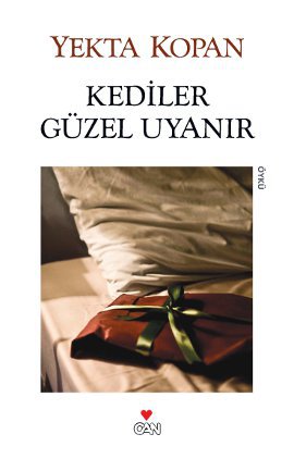 Kediler Güzel Uyanır