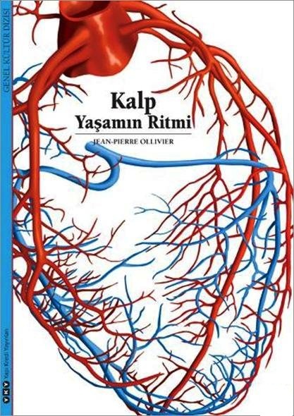 Kalp - Yaşamın Ritmi