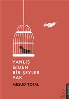 Yanlış Giden Bir Şeyler Var