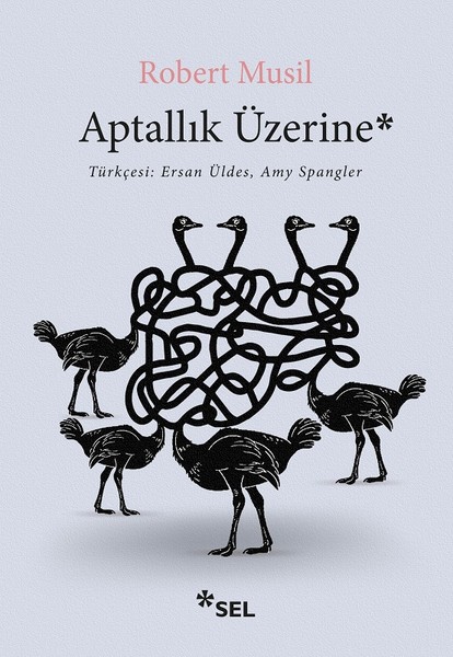 Aptallık Üzerine