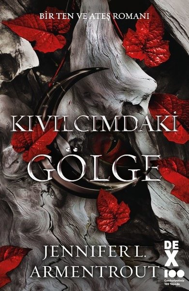 Kıvılcımdaki Gölge - Bir Ten ve Ateş Romanı