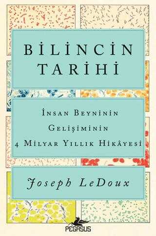 Bilincin Tarihi: İnsan Beyninin Gelişiminin 4 Milyar Yıllık Hikayesi