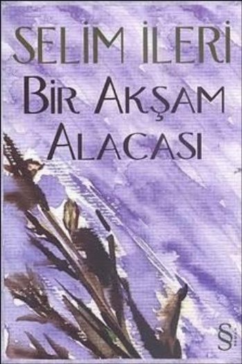 Bir Aksam Alacasi