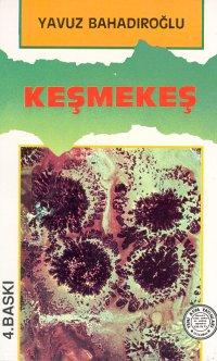 Kesmekes