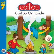 Caillou Ormanda 16 Bölüm (2 VCD)