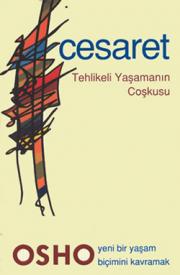 Cesaret Tehlikeli Yaşamanın Coşkusu