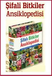 Şifalı Bitkiler Ansiklopedisi Hangi Hastalıklara Hangi Bitki Iyi Gelir?