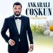 Papatya FalıAnkaralı Coşkun