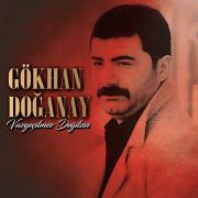 Vazgeçilmez Değilsin - Gökhan Doğanay