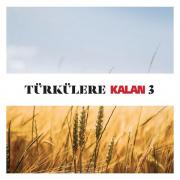 Türkülere Kalan 3 - Çeşitli Sanatçılar (2 CD)