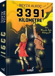 3391 Kilometre