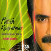 Mor Salkimli SokakFatih Kisaparmak (2 CD)